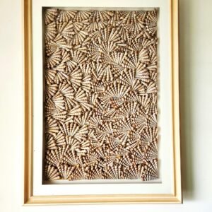 Coastal Whispers Sea Shell Art
