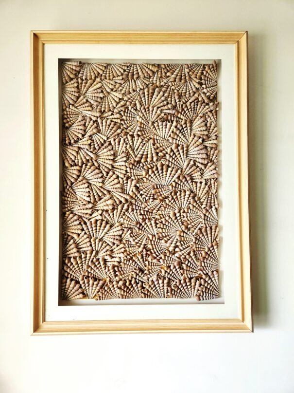 Coastal Whispers Sea Shell Art