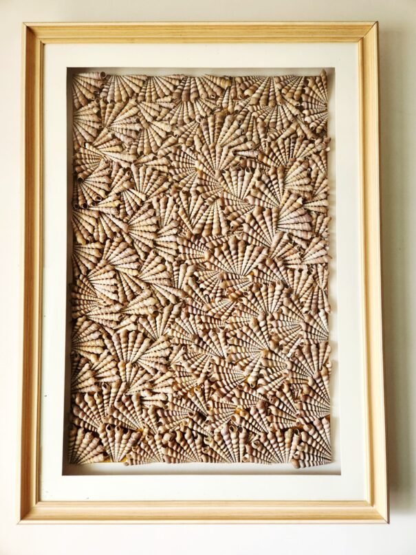Coastal Whispers Sea Shell Art - Image 3